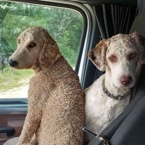 Meet your Posher, Tammy